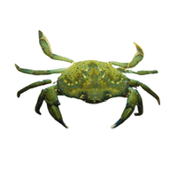 European Green Crab