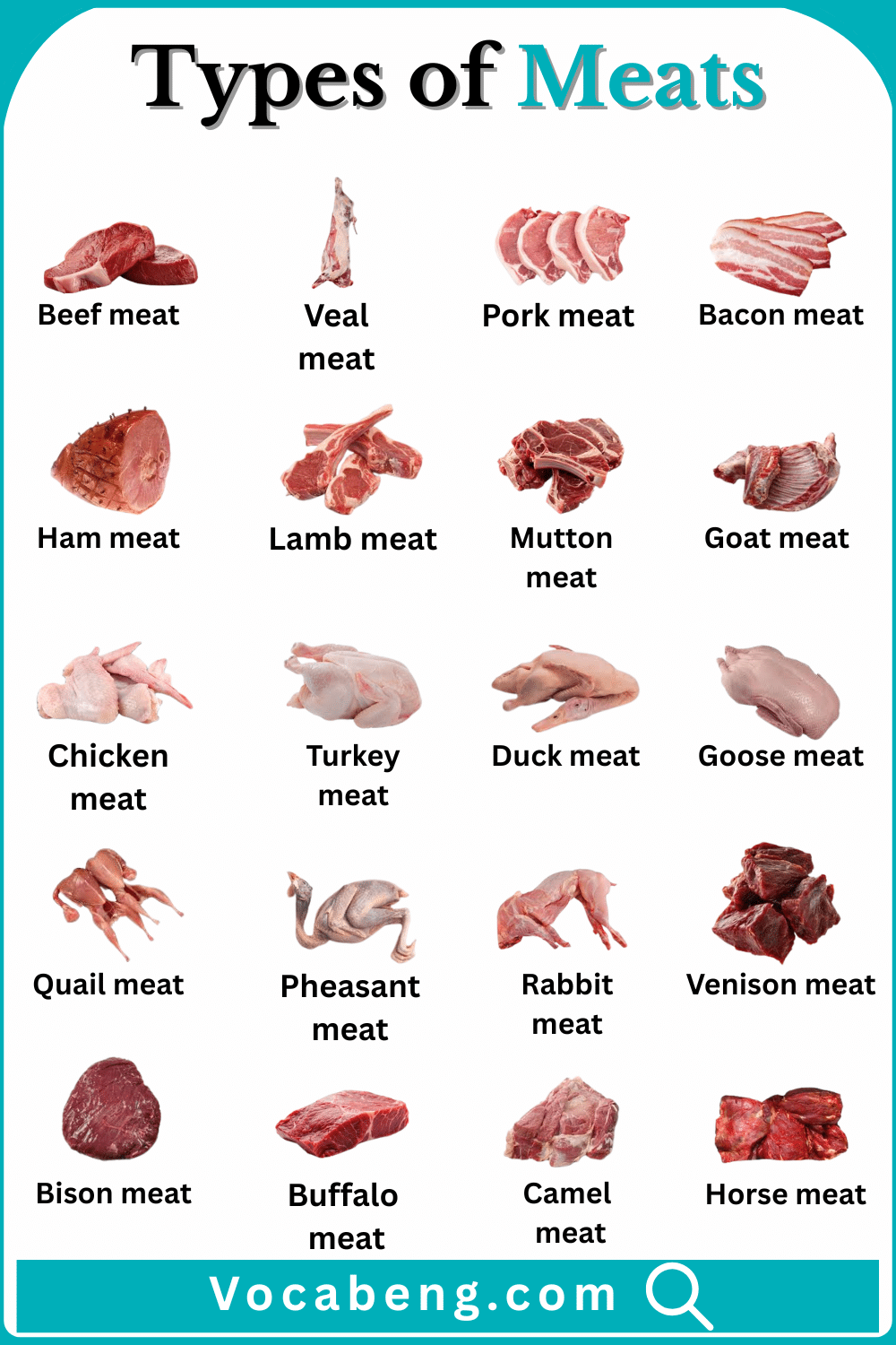 Common Types of Meats with Names in English and Pictures