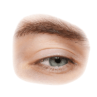 Eye
