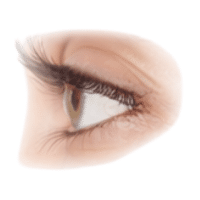 Eyebrow