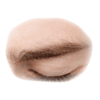 Eyelash