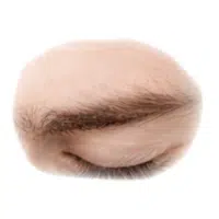 Eyelash