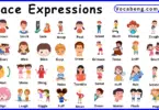 Face Expressions Vocabulary Words in English and Pictures