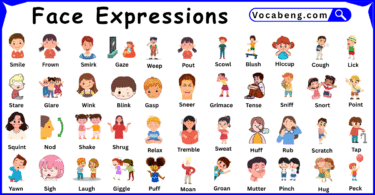 Face Expressions Vocabulary Words in English and Pictures