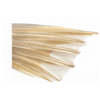 Fin spine | Parts of Fish