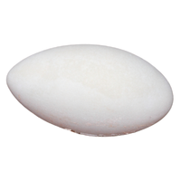 Flamingo egg