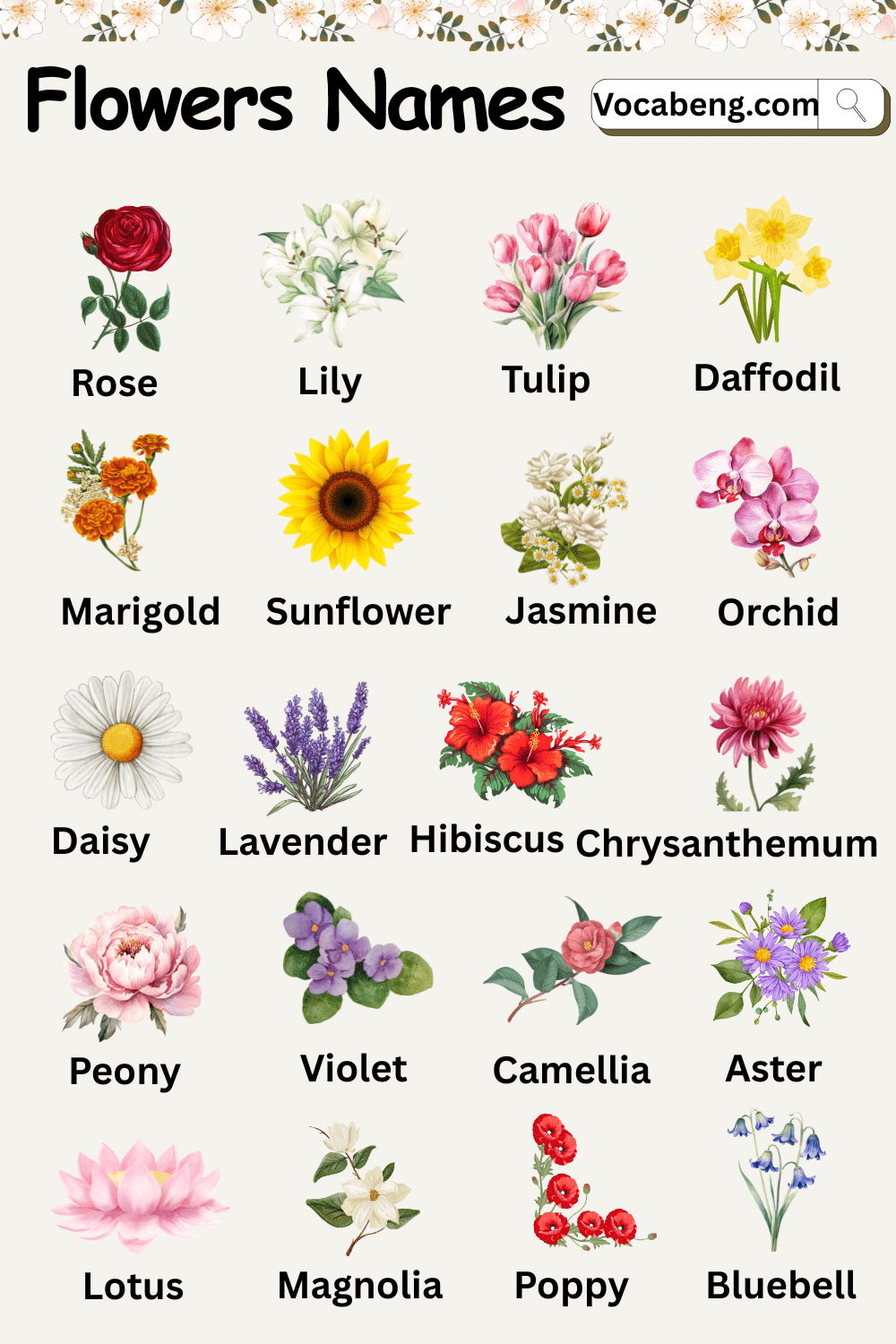 Flowers Names in English with Pictures