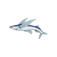 Flying Fish