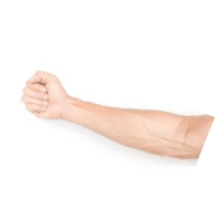 Forearm | Parts of Body with Names in English