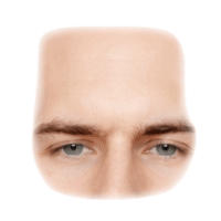 Forehead | Parts of Body with Names in English