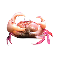 Freshwater Crab | Types of Crabs with Names in English