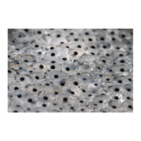 Frogspawn egg | Types of Eggs with Names in English