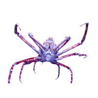 Giant Crab | Types of Crabs with Names in English