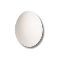 Goose egg | Types of Eggs with Names in English