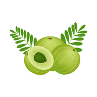 Gooseberry | List of green fruits