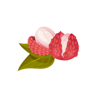 Green Lychee | List of green fruits
