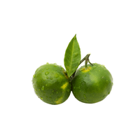 Green Mandarins | List of green fruits