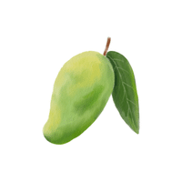 Green Mango | List of green fruits