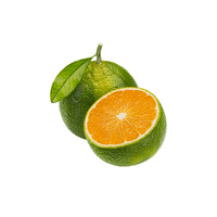 Green Orange | List of green fruits