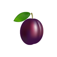 Green Plum | List of green fruits