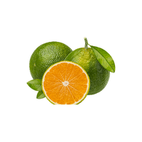 Green Tangerine | List of green fruits