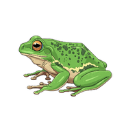 Green Tree Frog | Types of Frogs with Names