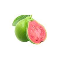 Guava | List of green fruits
