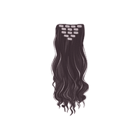 Hair Extension Clip