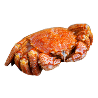 Hairy Crab | Types of Crabs with Names in English