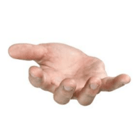 Hand | Parts of Body with Names in English