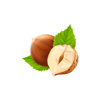 Hazelnuts | Baking Vocabulary in English