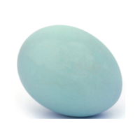 Heron egg | Types of Eggs with Names in English