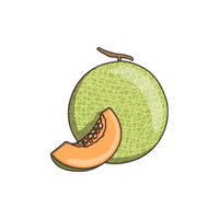 Honeydew Melon | List of green fruits