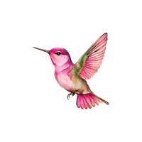 Hummingbird | Flying Birds Names