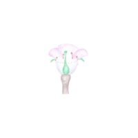 Hypanthium | Parts of Flowers with Names