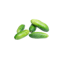 Ivy Gourd | List of green fruits