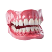 Jaw