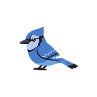 Jay