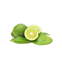 Kaffir Lime | List of green fruits
