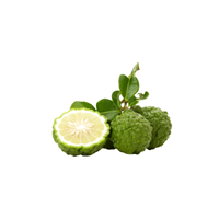 Kaffir Plum | List of green fruits