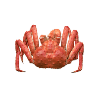 King Crab | Types of Crabs with Names in English