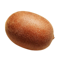 Kiwi egg
