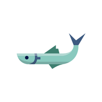 Ladyfish