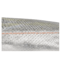 Lateral line | Parts of Fish