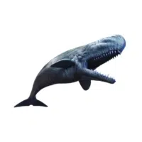 Leviathan Whale | Types of Whales with Names in English