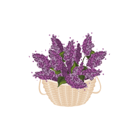 Lilac | Plants and Their Names