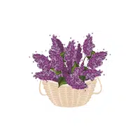 Lilac | Plants and Their Names