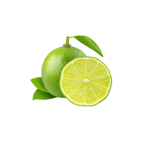 Lime | List of green fruits