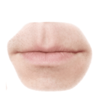 Lips