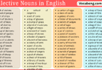List of 99 Collective Nouns in English with Pictures format